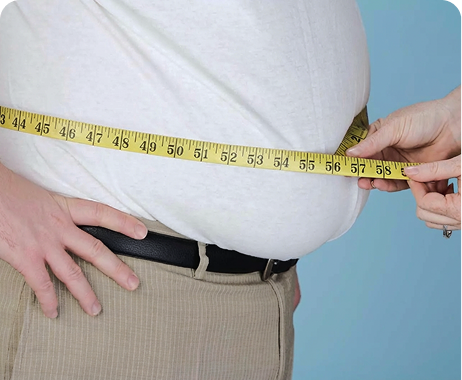 Obesity Reviews · 2026