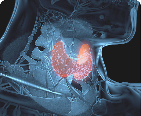Journal of Clinical Endocrinology 2024